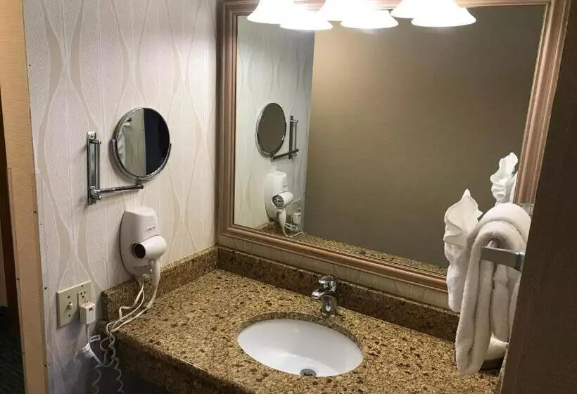 オーシャンビュースタンダードルーム, Sun Viking Lodge  Daytona Beach