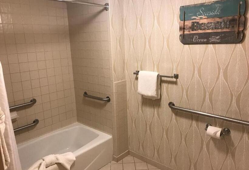 Номер Стандарт Адаптированный для Инвалидов, Sun Viking Lodge  Daytona Beach