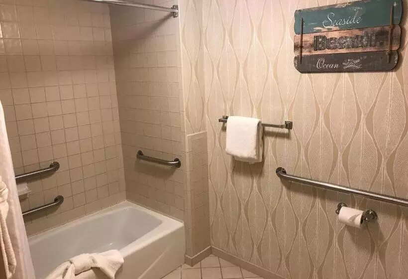 身障者適用スタンダードルーム, Sun Viking Lodge  Daytona Beach