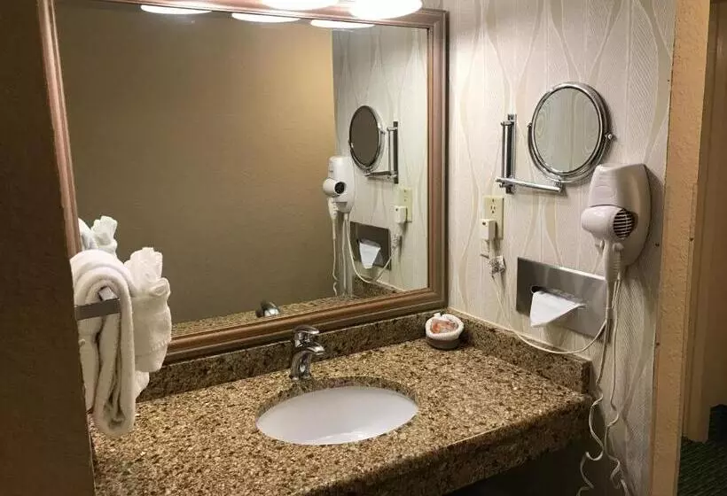 身障者適用スタンダードルーム, Sun Viking Lodge  Daytona Beach