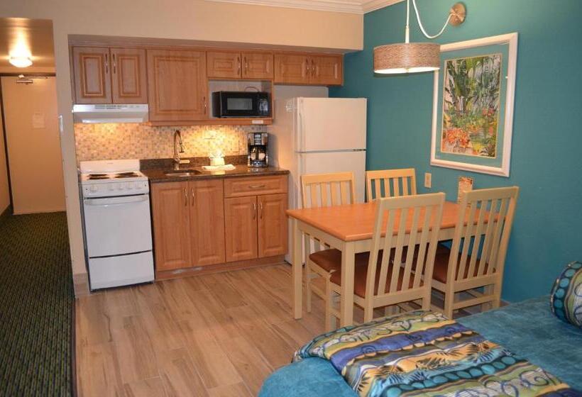 غرفة قياسية مطلّة علي حمام السباحة, Sun Viking Lodge  Daytona Beach