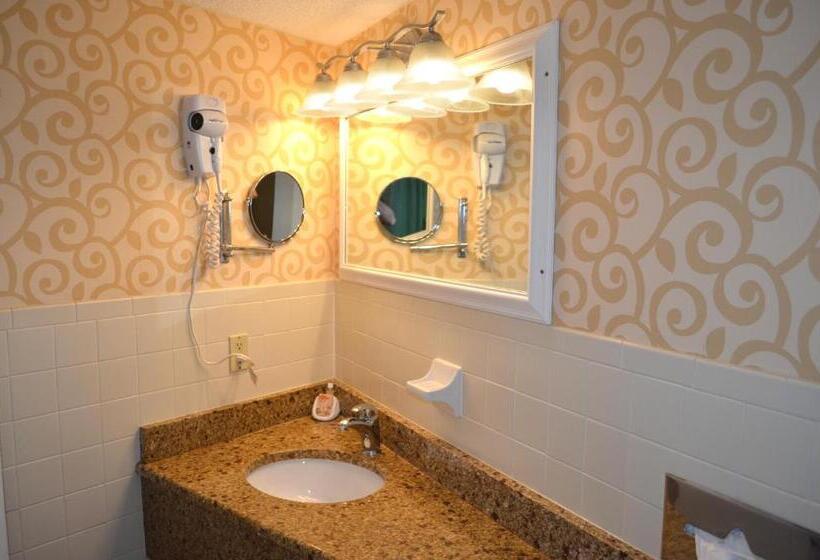 غرفة قياسية, Sun Viking Lodge  Daytona Beach