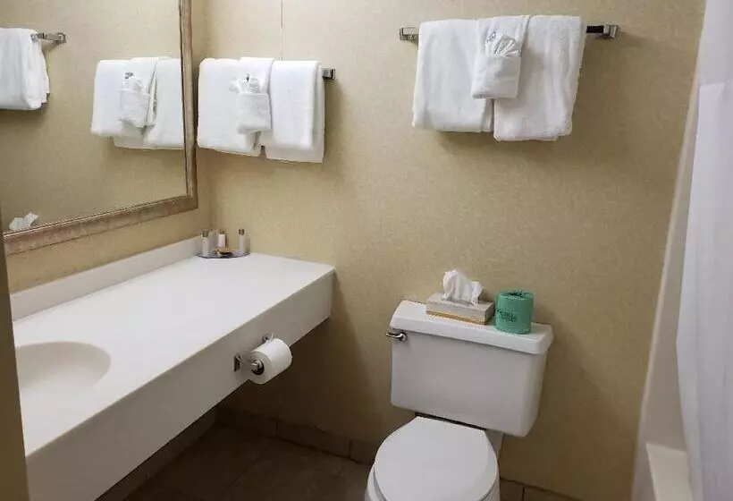 キングサイズベッドのスーペリアルーム, The Chateau Resort