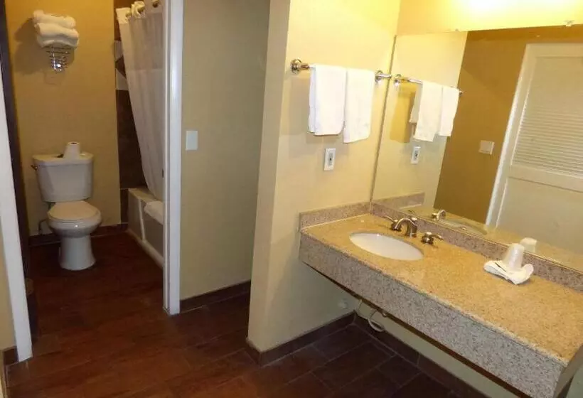 キングサイズベッドのスタンダードルーム, Economy Inn & Suites