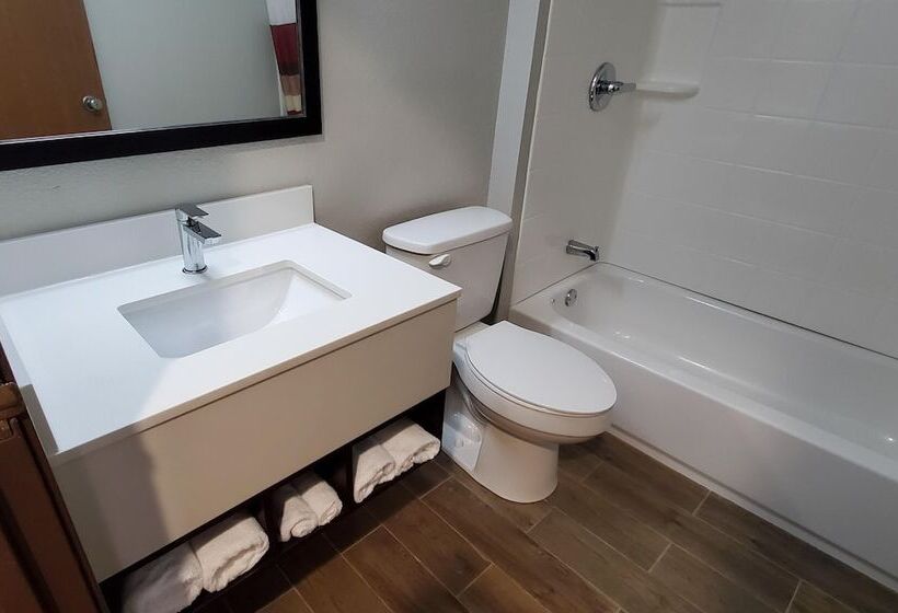 Номер Deluxe Адаптированный для Инвалидов, Red Roof Inn Binghamton North