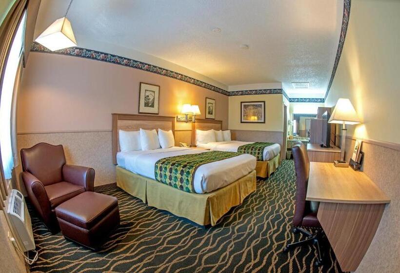 标准间, Silver Spruce Inn