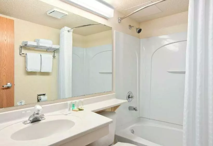 اتاق استاندارد با تخت بزرگ, Super 8 By Wyndham Bloomington/airport