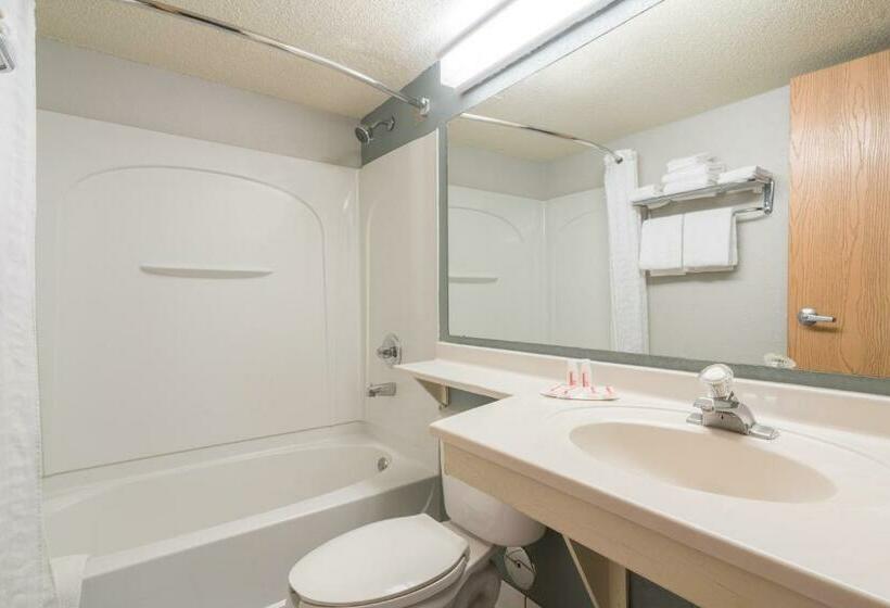 带大床的标准间, Super 8 By Wyndham Bloomington/airport