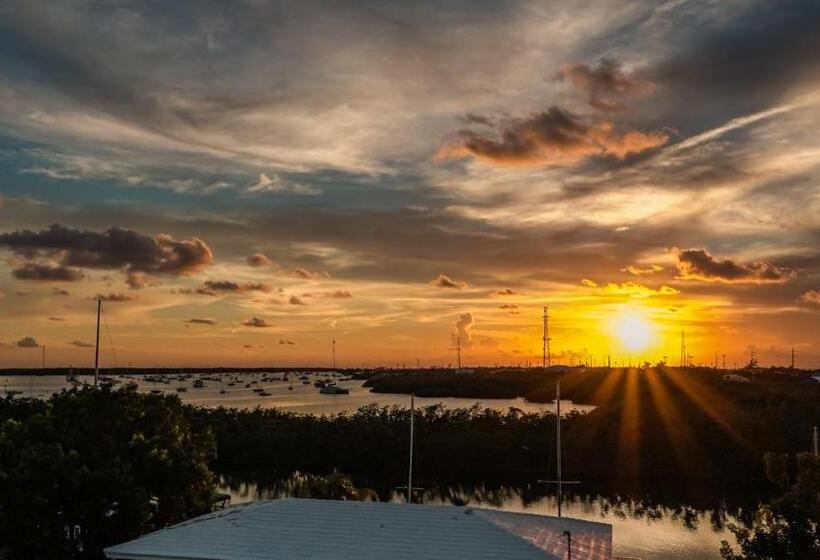 جناح ديلوكس سرير كينج, Skipjack Resort & Marina