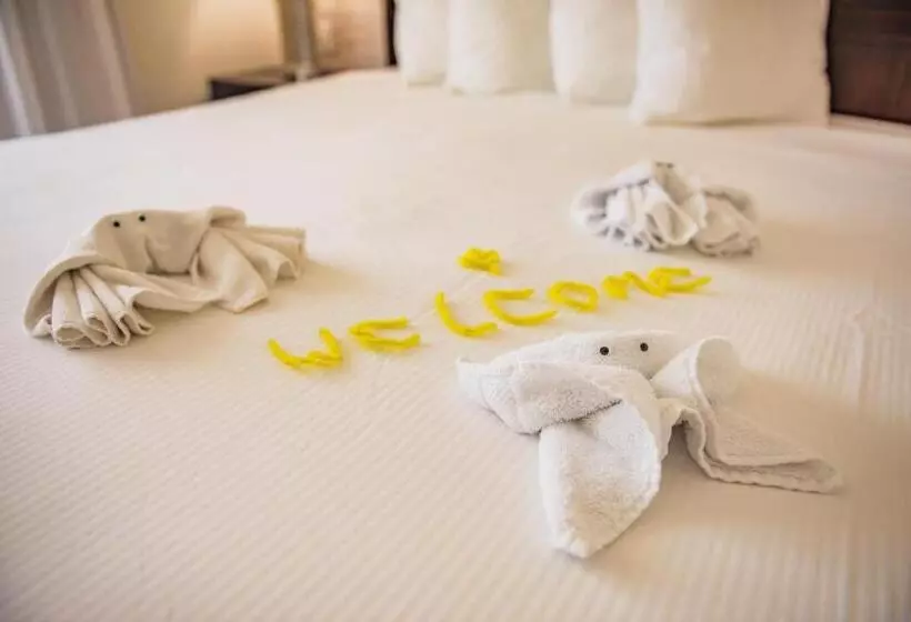 سوئیت با تخت بزرگ, Skipjack Resort & Marina
