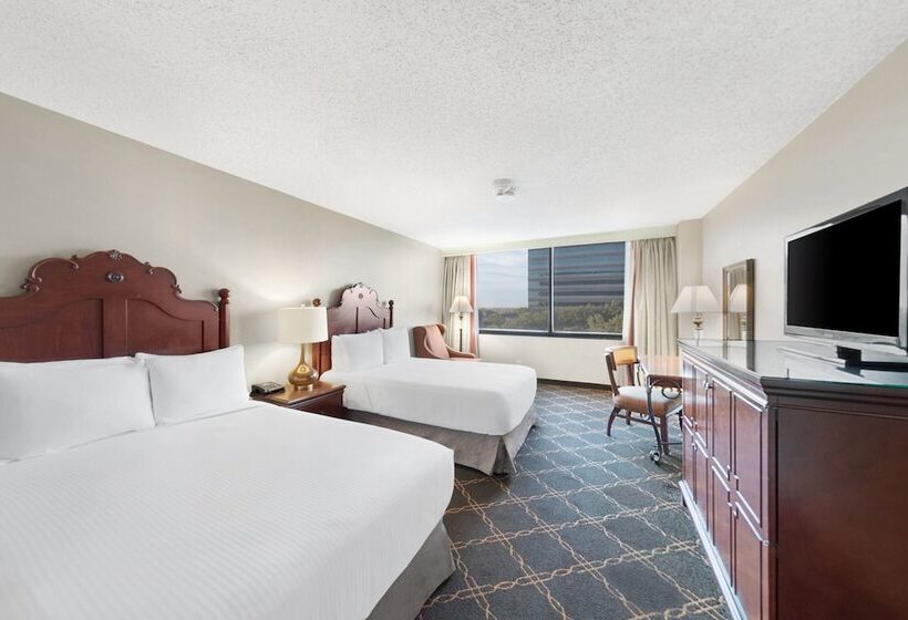 غرفة ديلوكس, Austin Southpark