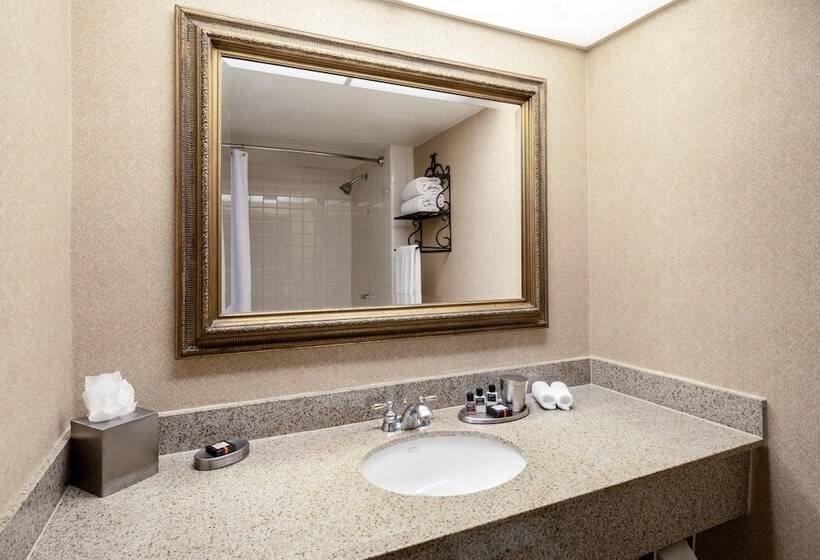 غرفة ديلوكس, Austin Southpark