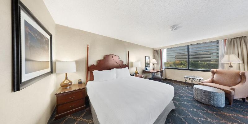 غرفة قياسية سرير كينج, Austin Southpark