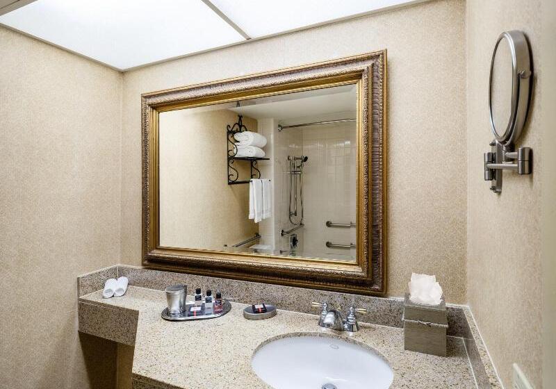 غرفة ديلوكس, Austin Southpark