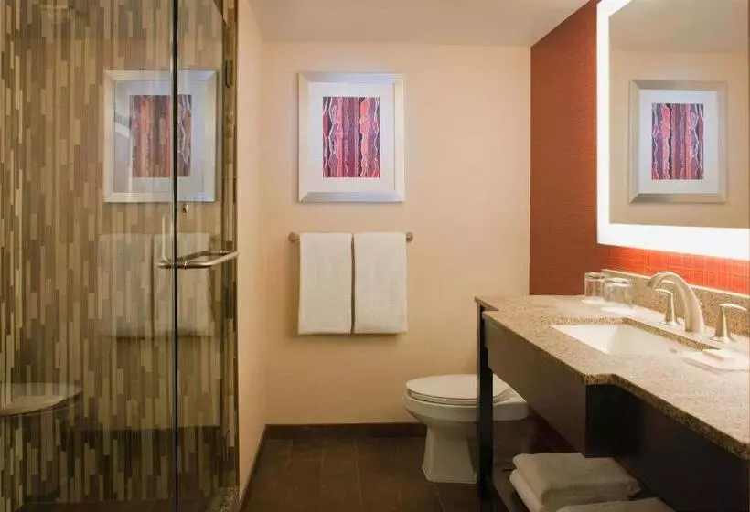 اتاق استاندارد با تخت بزرگ, Courtyard Los Angeles Sherman Oaks