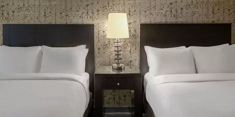 ２ダブルベッドのスタンダードルーム, Doubletree By Hilton Hotel Chicago Wood Dale   Elk Grove