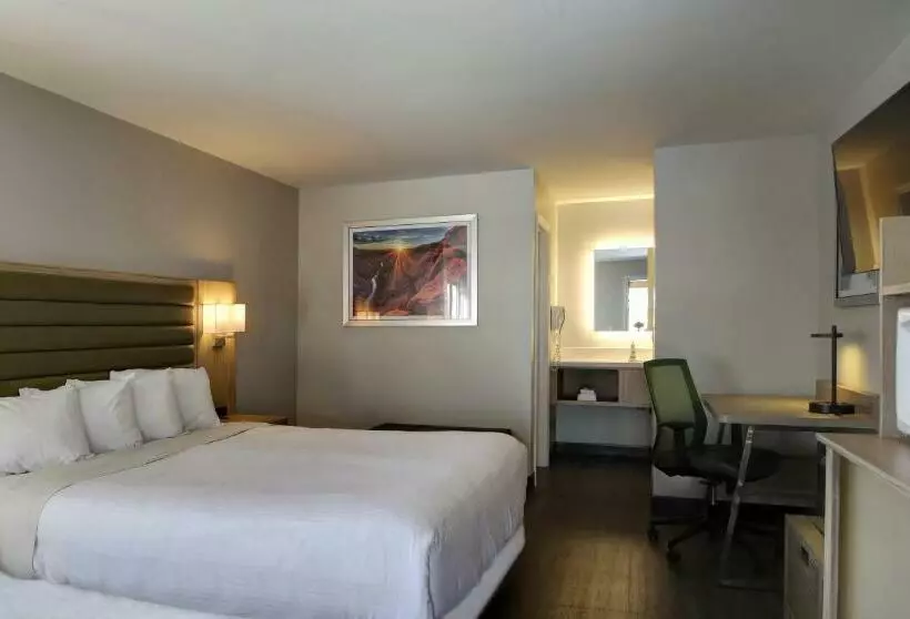 身障者適用キングサイズベッドルーム, Greentree Inn Flagstaff