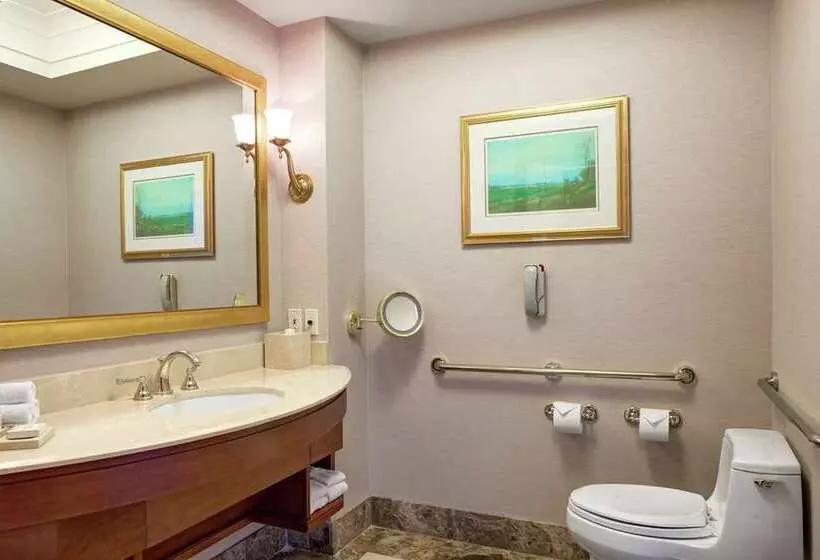 Standard-huone, Hilton San Diego Airport/harbor Island