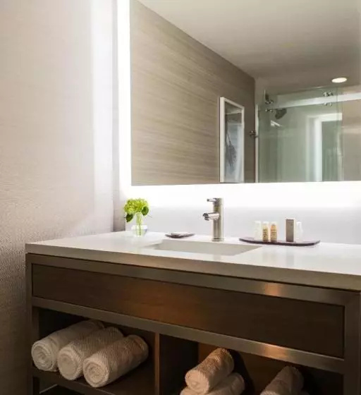 اتاق استاندارد با تخت بزرگ, Renaissance Waterford Oklahoma City