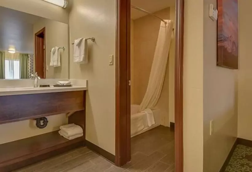 اتاق استاندارد, Vagabond Inn Bishop