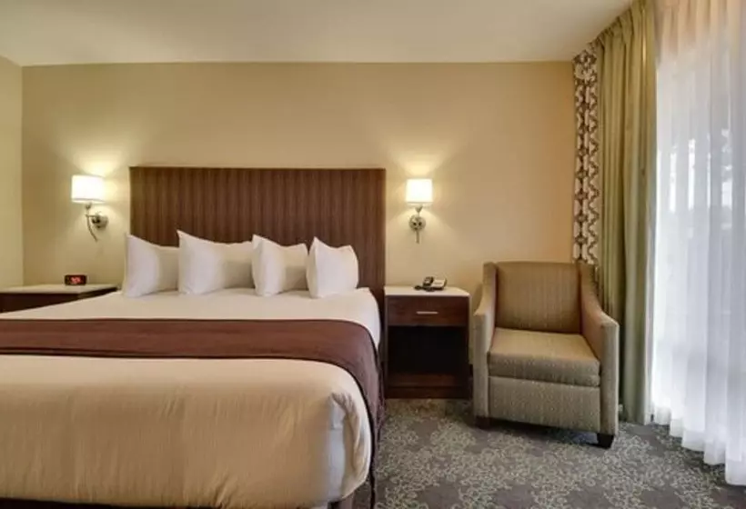 اتاق استاندارد, Vagabond Inn Bishop