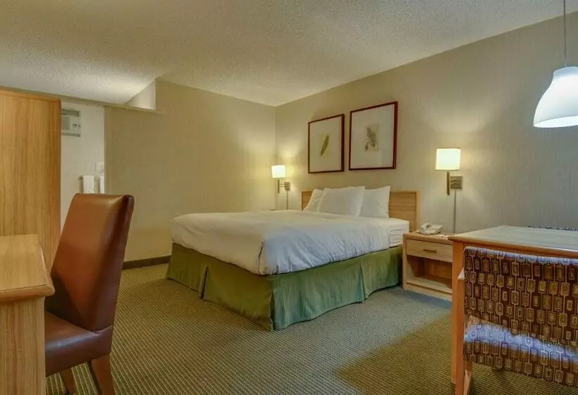 اتاق کلاس بیزنس, Vagabond Inn Los Angeles At Usc