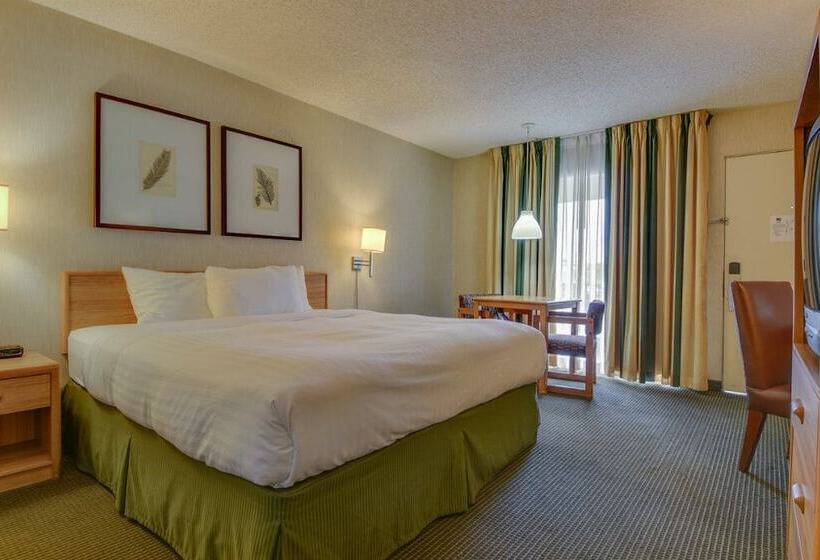 Quarto Classe Business, Vagabond Inn Los Angeles At Usc