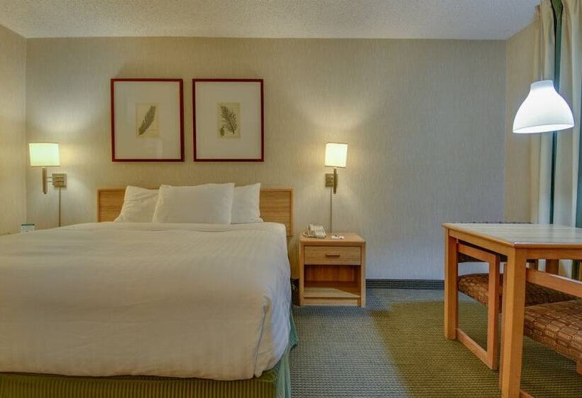 غرفة بيزنس, Vagabond Inn Los Angeles At Usc