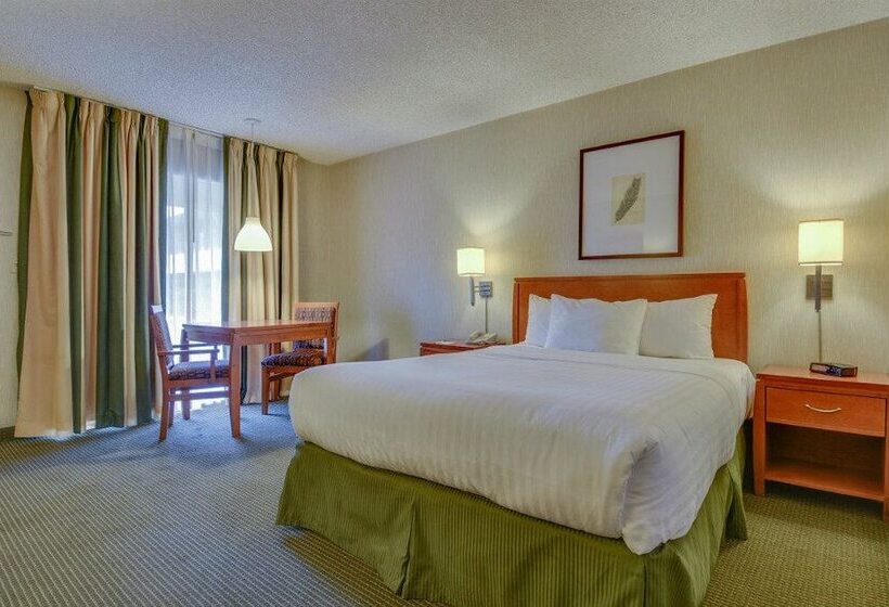 Quarto Estandar Cama Casal, Vagabond Inn Los Angeles At Usc