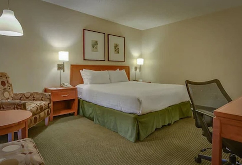 Quarto Estandar Cama Casal, Vagabond Inn Los Angeles At Usc