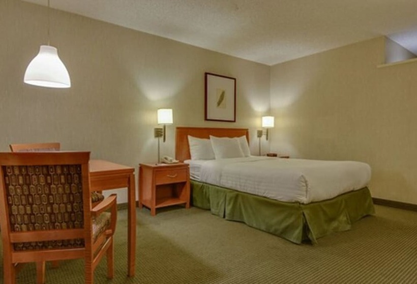 غرفة قياسية سرير مزدوج, Vagabond Inn Los Angeles At Usc