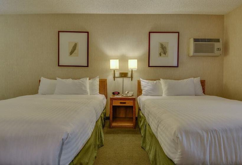 Quarto Estandar 2 Camas Casal, Vagabond Inn Los Angeles At Usc