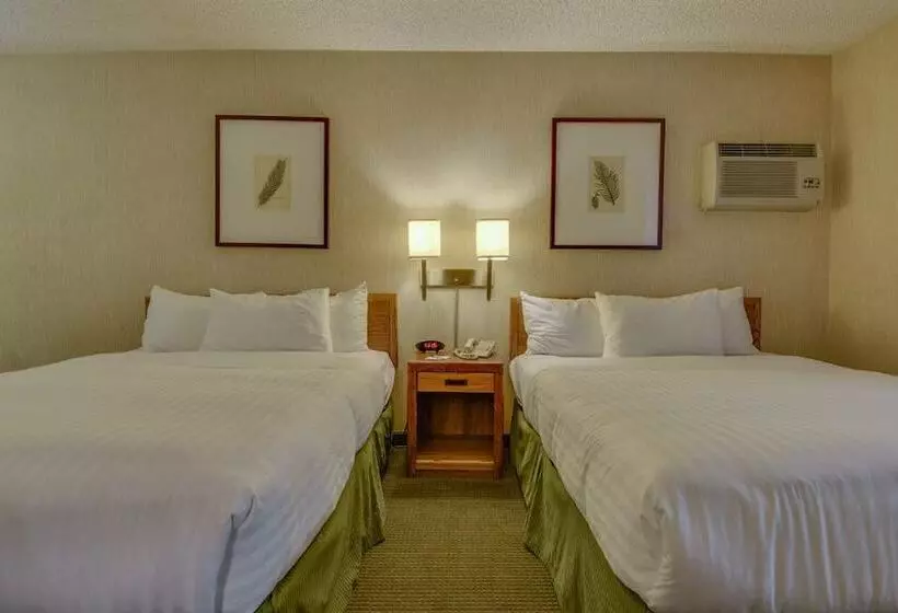 اتاق استاندارد با 2 تخت دوبل, Vagabond Inn Los Angeles At Usc