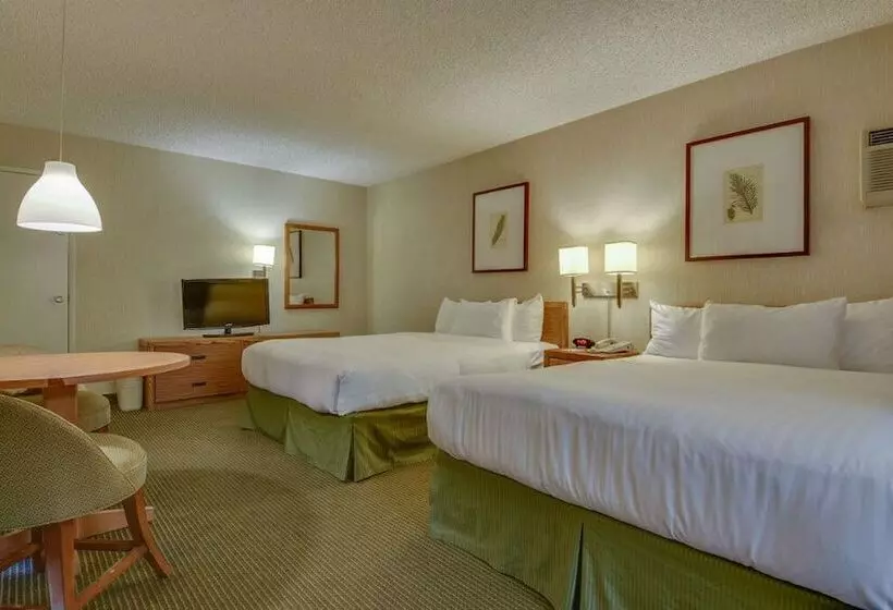 اتاق استاندارد با 2 تخت دوبل, Vagabond Inn Los Angeles At Usc
