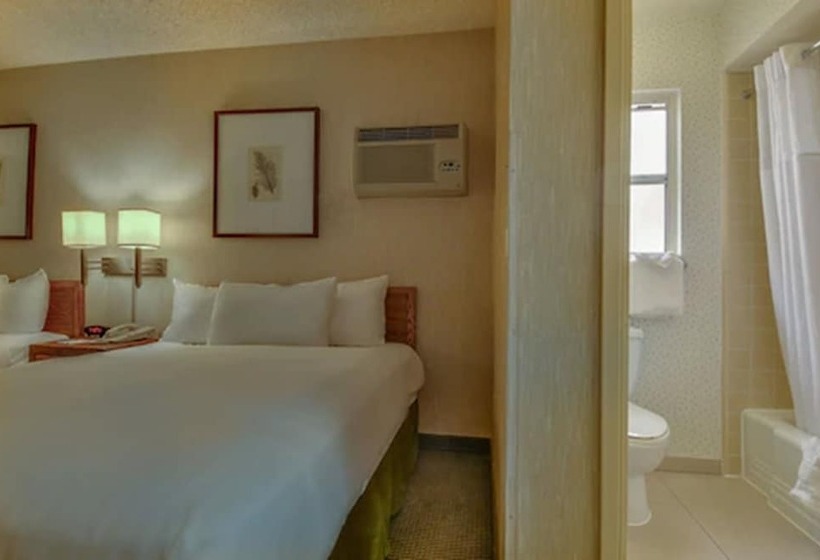带2个双人床的标准工作室, Vagabond Inn Los Angeles At Usc