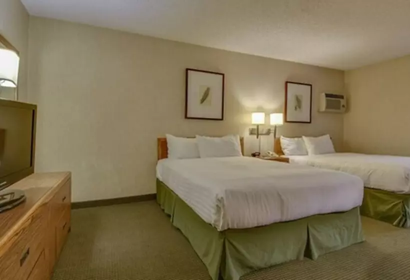 اتاق استاندارد با 2 تخت دوبل, Vagabond Inn Los Angeles At Usc