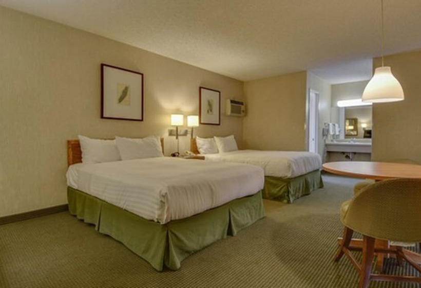 Quarto Estandar 2 Camas Casal, Vagabond Inn Los Angeles At Usc