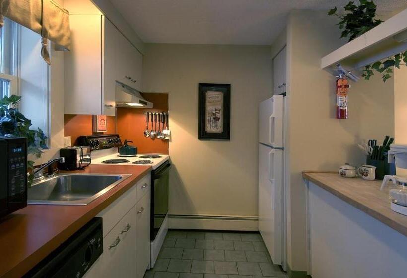 침실 1개 아파트, The Village Of Loon Mountain