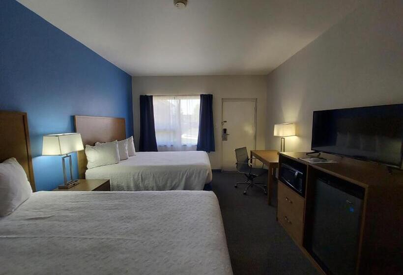 اتاق لوکس, Yogo Inn