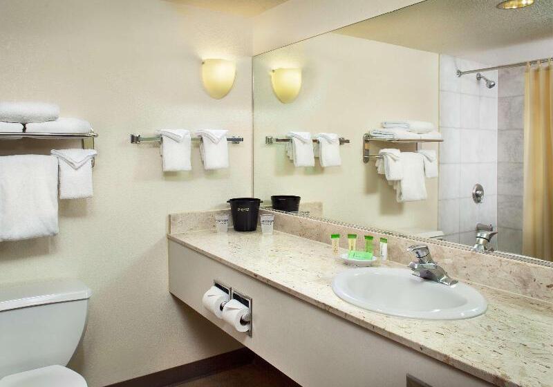 스탠다드 룸 킹사이즈 침대, The Strat Hotel, Casino & Tower