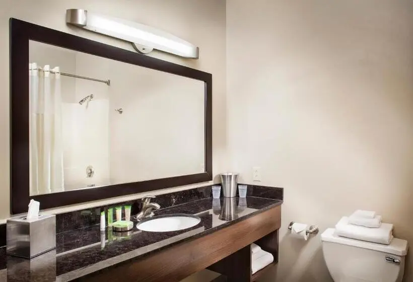 اتاق استاندارد با تخت بزرگ, The Strat Hotel, Casino & Tower