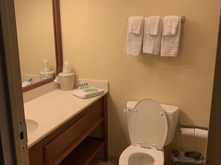 غرفة قياسية, Gold Leaf Hotel Of Dewey