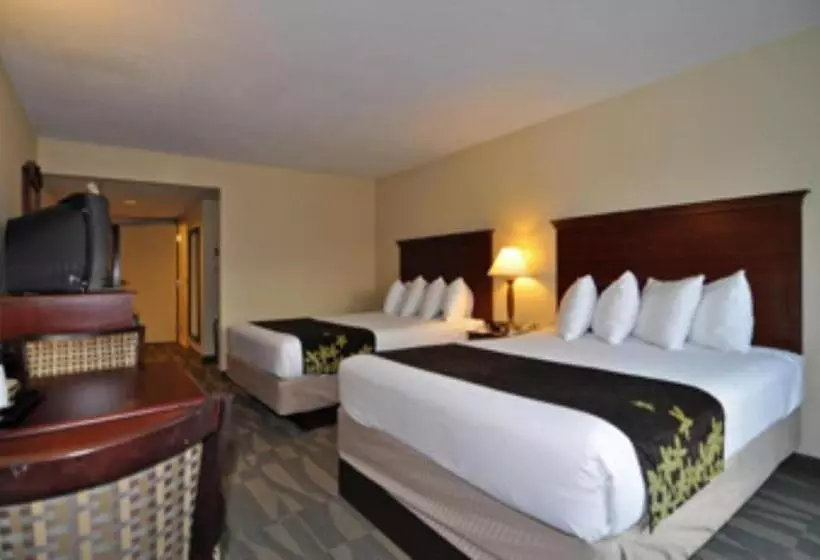 Standard-huone, Gold Leaf Hotel Of Dewey
