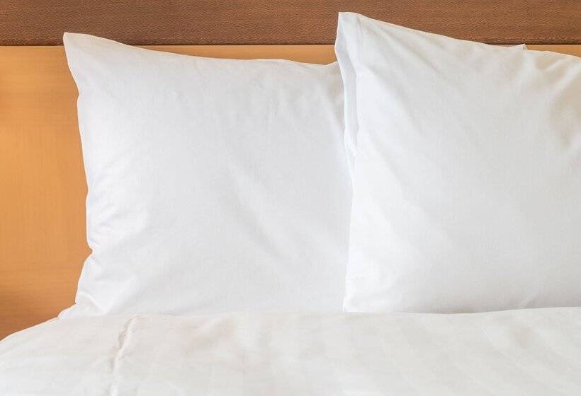 اتاق استاندارد, Holiday Inn Express Lille Centre, An Ihg