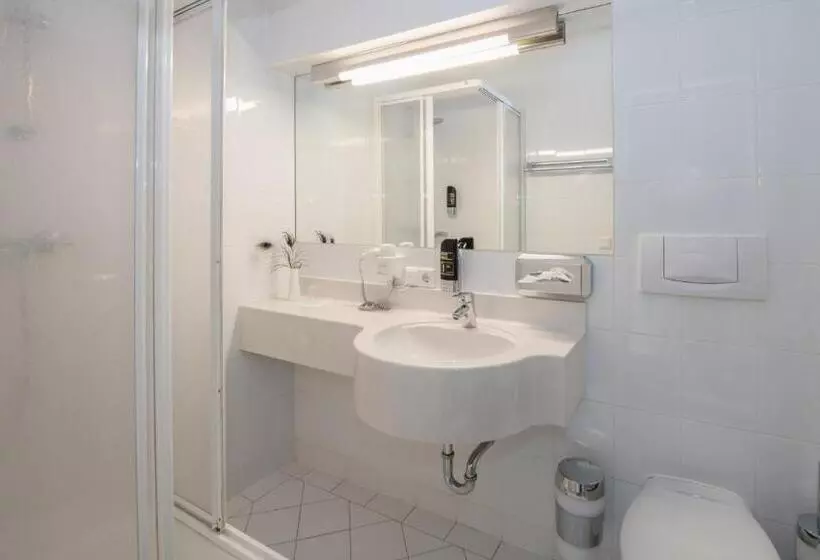 اتاق استاندارد یک نفره, Am Neutor Hotel Salzburg Zentrum