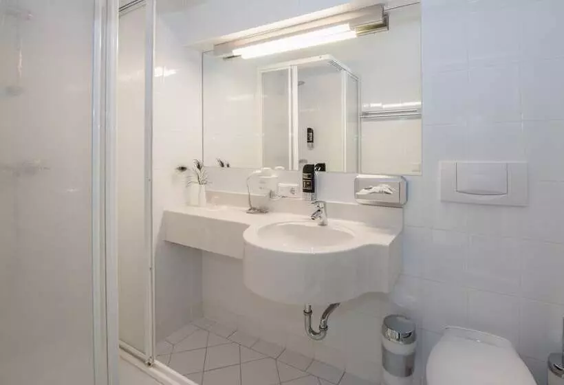 اتاق استاندارد یک نفره, Am Neutor Hotel Salzburg Zentrum