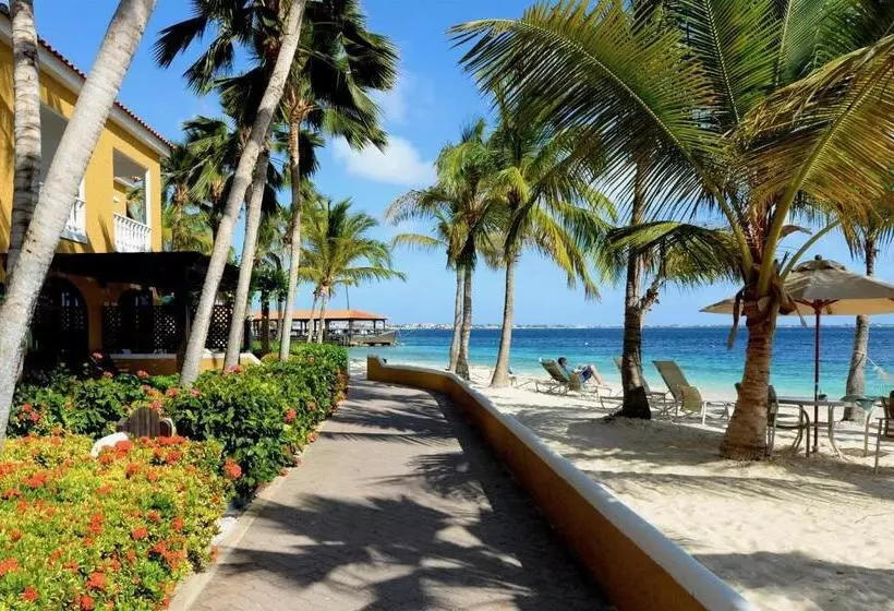 سوئیت با تخت بزرگ, Harbour Village Beach Club