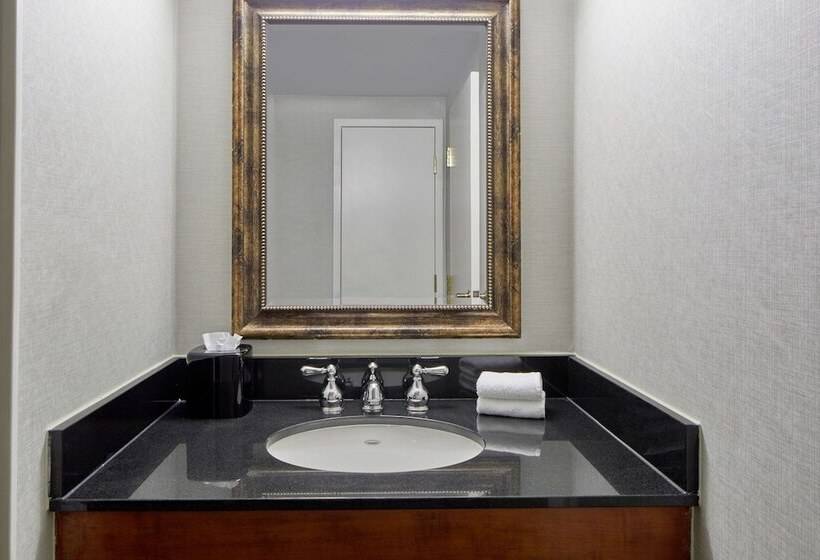 스탠다드 룸 더블 침대 2개, Detroit Metro Airport Marriott