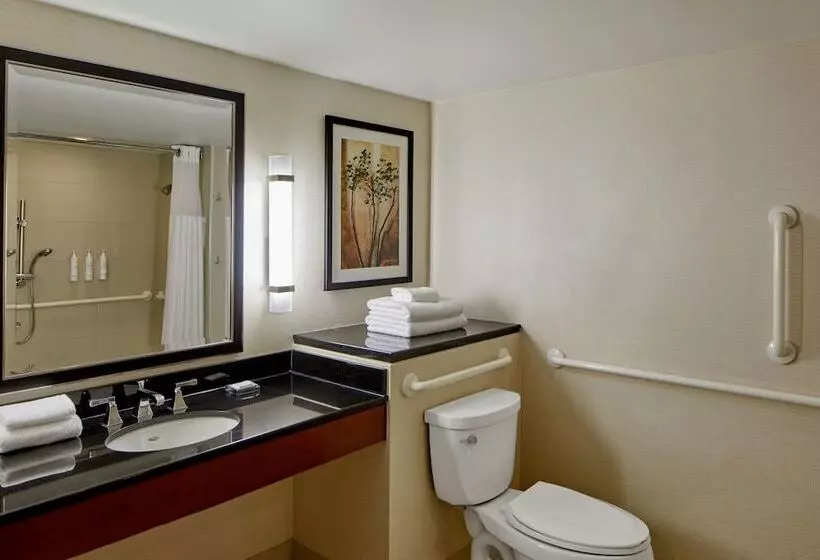اتاق استاندارد با 2 تخت دوبل, Detroit Metro Airport Marriott