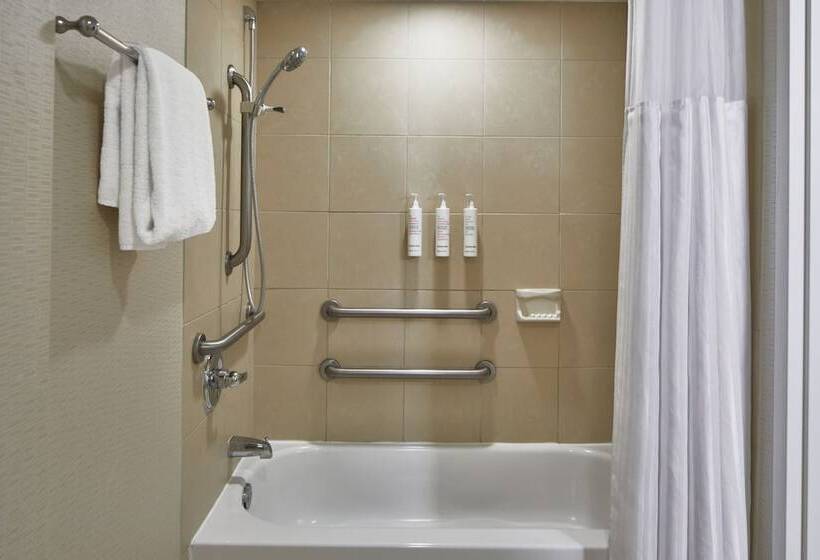 带2个双人床的标准工作室, Detroit Metro Airport Marriott